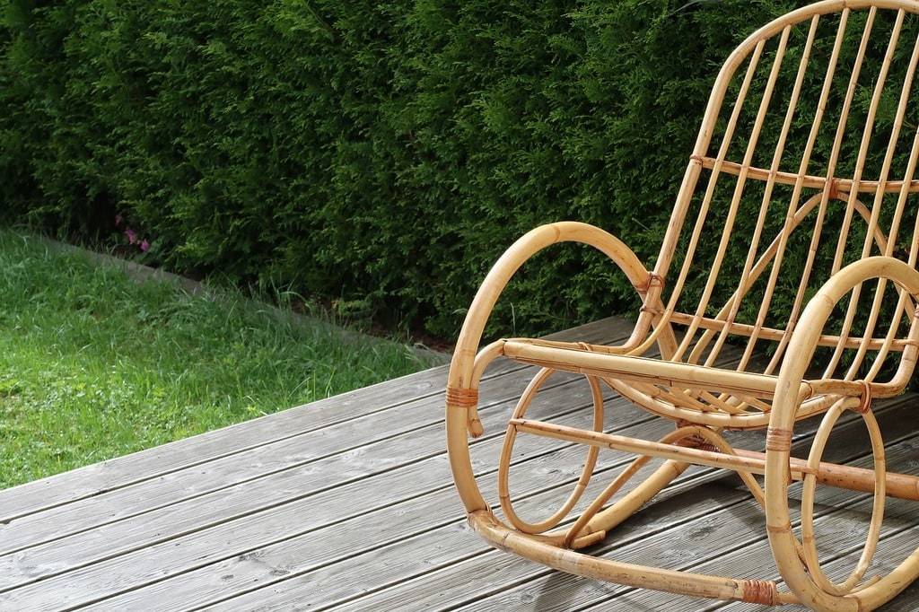 Les plantes idéales pour un jardin facile à entretenir